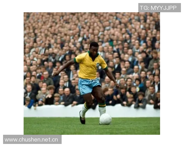 巴西连线即将落幕各方关注终章揭晓的关键时刻