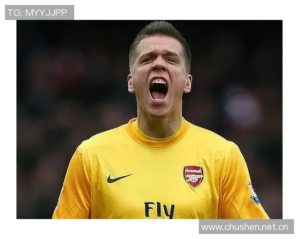 什琴斯尼回忆与温格的隔阂：安于现状的我错失了机会