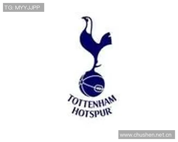 热刺大股东刘易斯家族信托注资1亿镑助力俱乐部发展 热刺大股东刘易斯家族信托注资1亿镑助力俱乐部发展