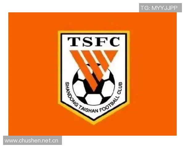 泰山青训2025年培养44名国脚引领国内俱乐部青训新标杆